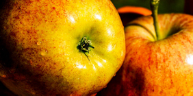 短信免费轰炸网页入口